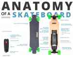 Anatomy-G2-Green